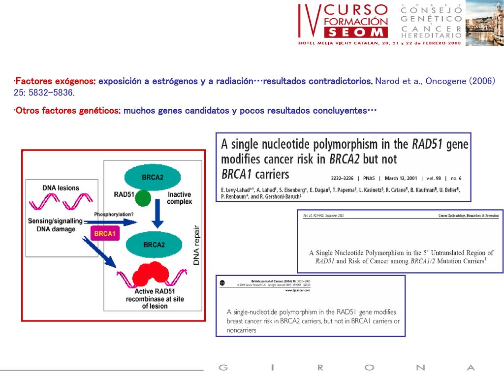 Factores exógenos: exposición a estrógenos y a radiación…resultados contradictorios. Narod et a., Oncogene (2006) 25:
