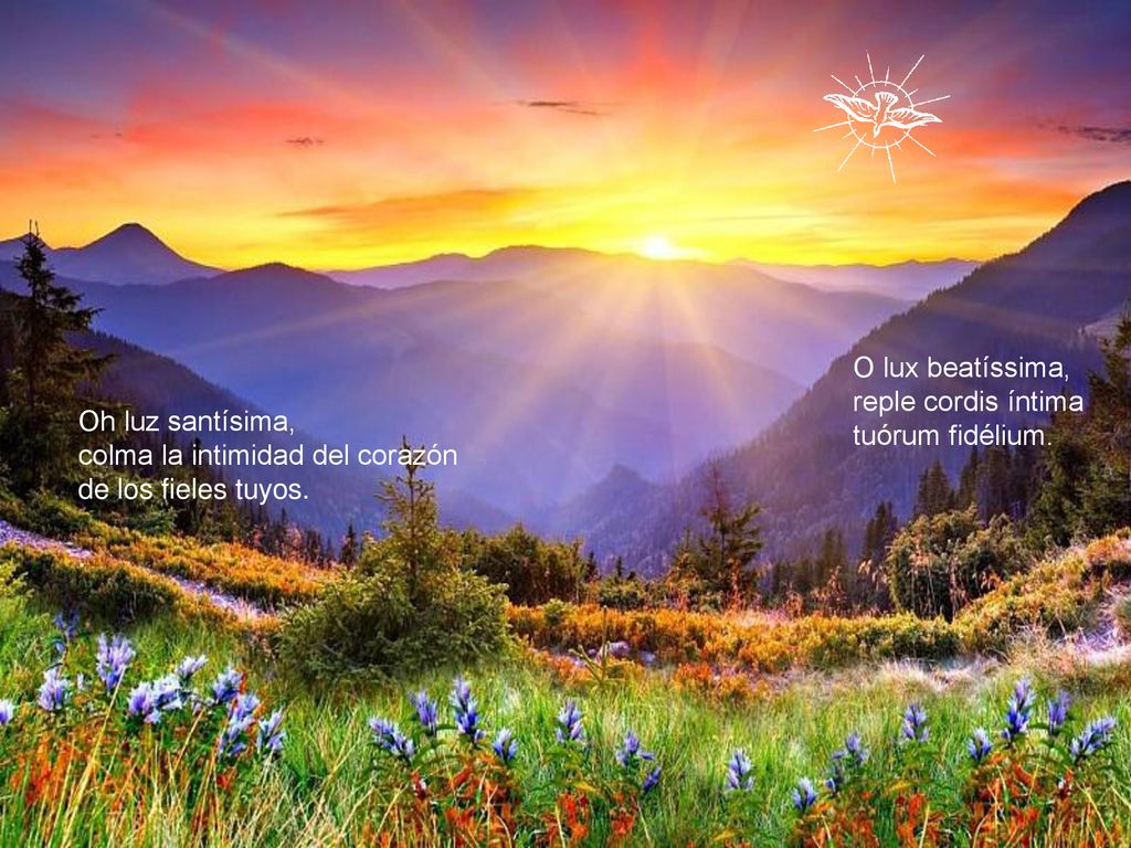 O lux beatíssima, reple cordis íntima. tuórum fidélium. Oh luz santísima, colma la intimidad del corazón.