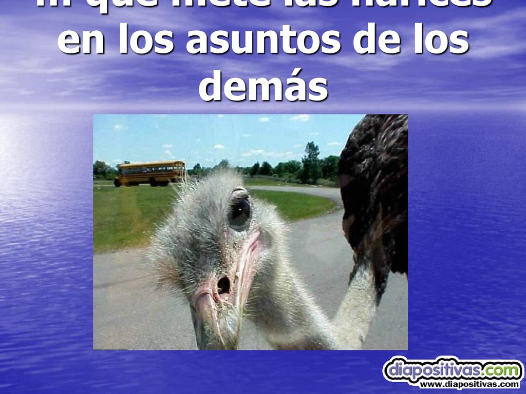 … que mete las narices en los asuntos de los demás