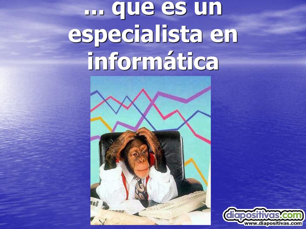 ... que es un especialista en informática