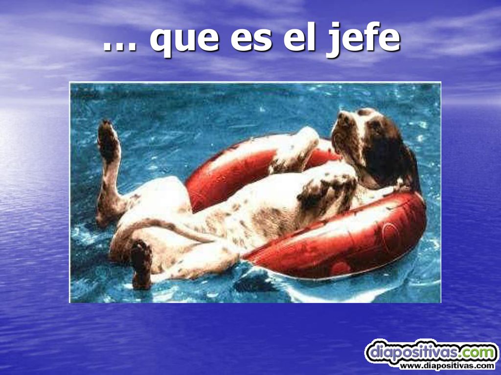 … que es el jefe Ici, on ne connait pas….