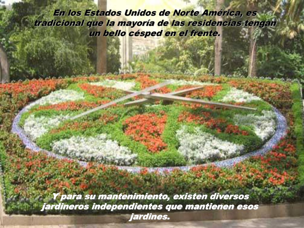 En los Estados Unidos de Norte América, es tradicional que la mayoría de las residencias tengan un bello césped en el frente.