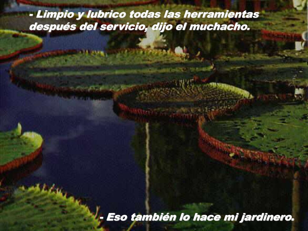 - Limpio y lubrico todas las herramientas después del servicio, dijo el muchacho.