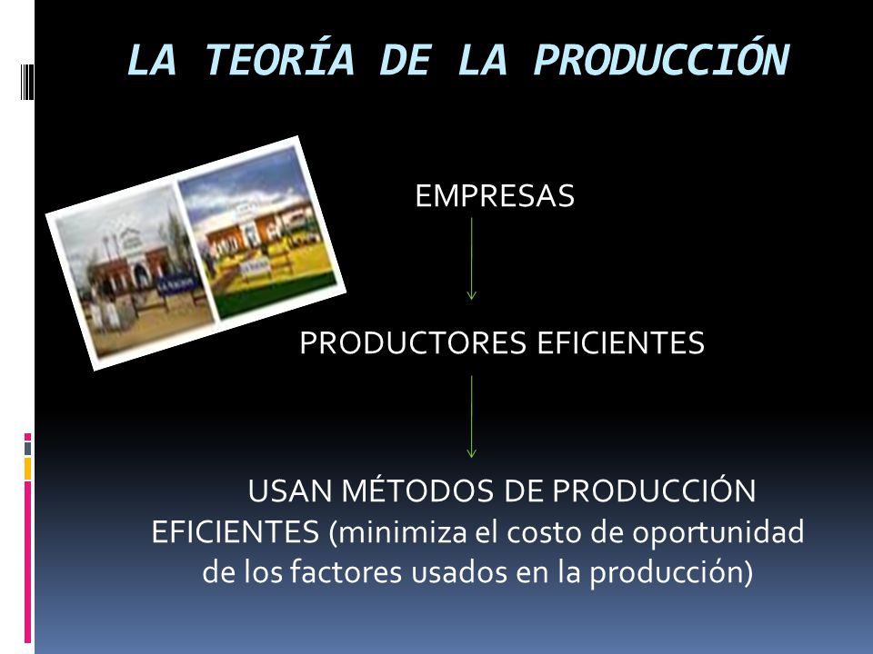 LA TEORÍA DE LA PRODUCCIÓN