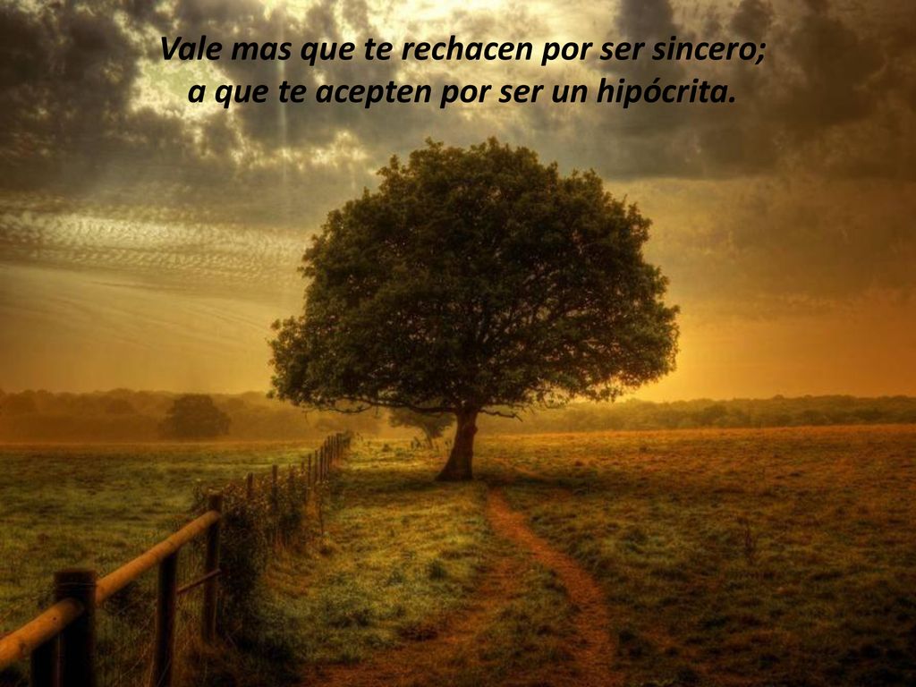 Vale mas que te rechacen por ser sincero; a que te acepten por ser un hipócrita.