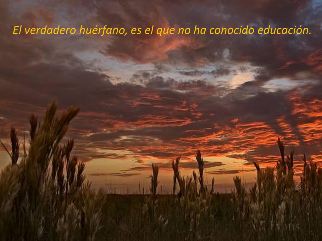 El verdadero huérfano, es el que no ha conocido educación.
