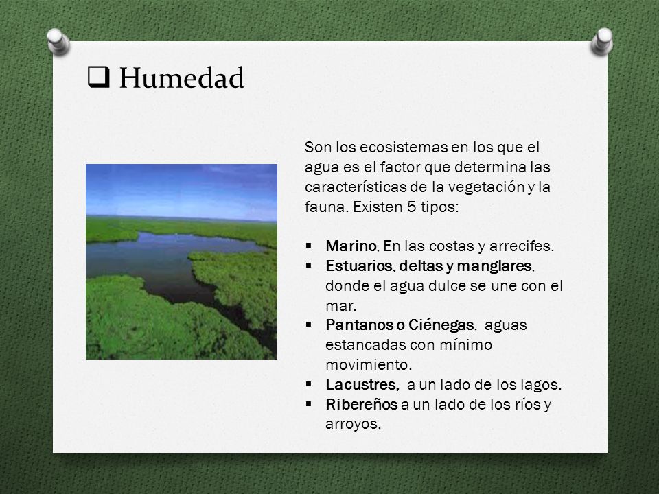 Humedad Son los ecosistemas en los que el agua es el factor que determina las características de la vegetación y la fauna. Existen 5 tipos: