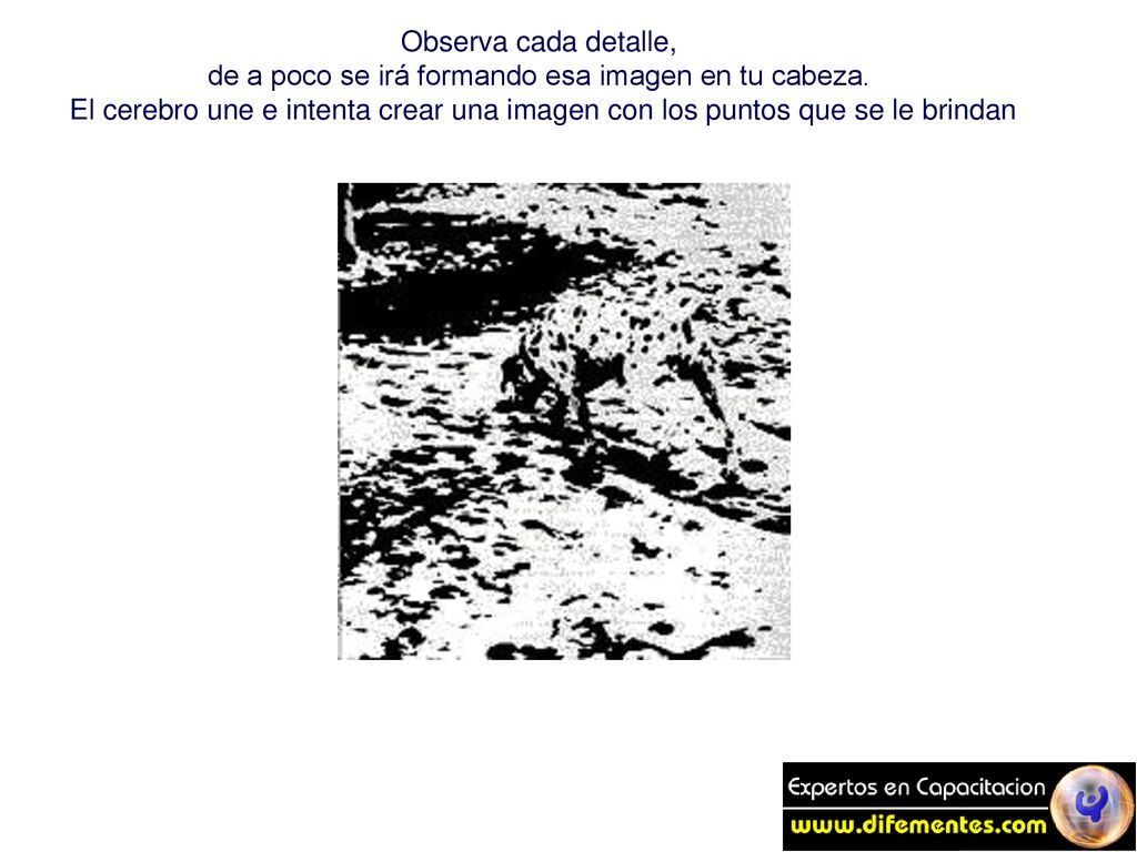 de a poco se irá formando esa imagen en tu cabeza.