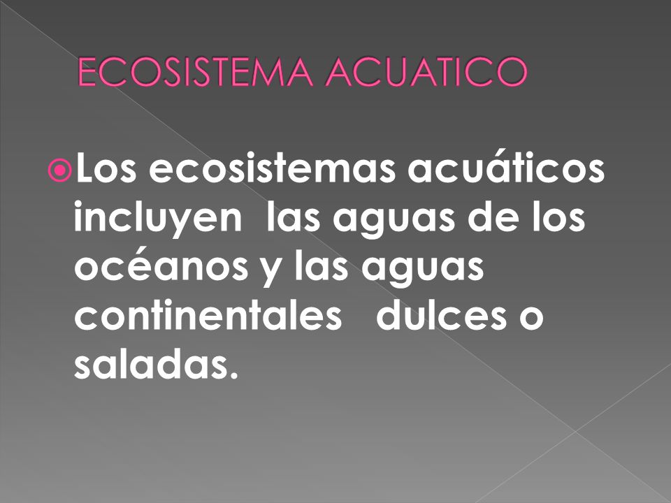 ECOSISTEMA ACUATICO Los ecosistemas acuáticos incluyen las aguas de los océanos y las aguas continentales dulces o saladas.