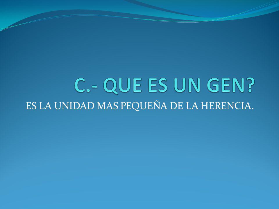 ES LA UNIDAD MAS PEQUEÑA DE LA HERENCIA.