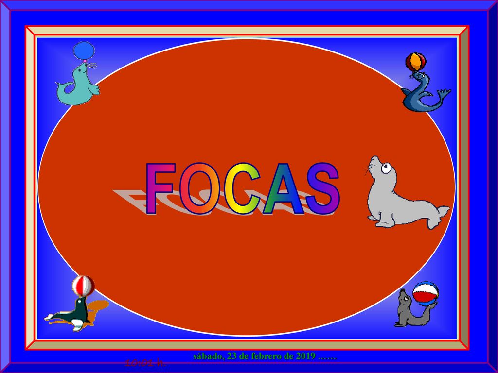 FOCAS sábado, 23 de febrero de 2019 …… 10:01 h. 2