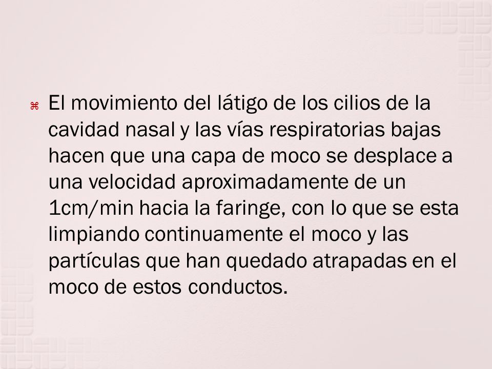 El movimiento del látigo de los cilios de la cavidad nasal y las vías respiratorias bajas hacen que una capa de moco se desplace a una velocidad aproximadamente de un 1cm/min hacia la faringe, con lo que se esta limpiando continuamente el moco y las partículas que han quedado atrapadas en el moco de estos conductos.
