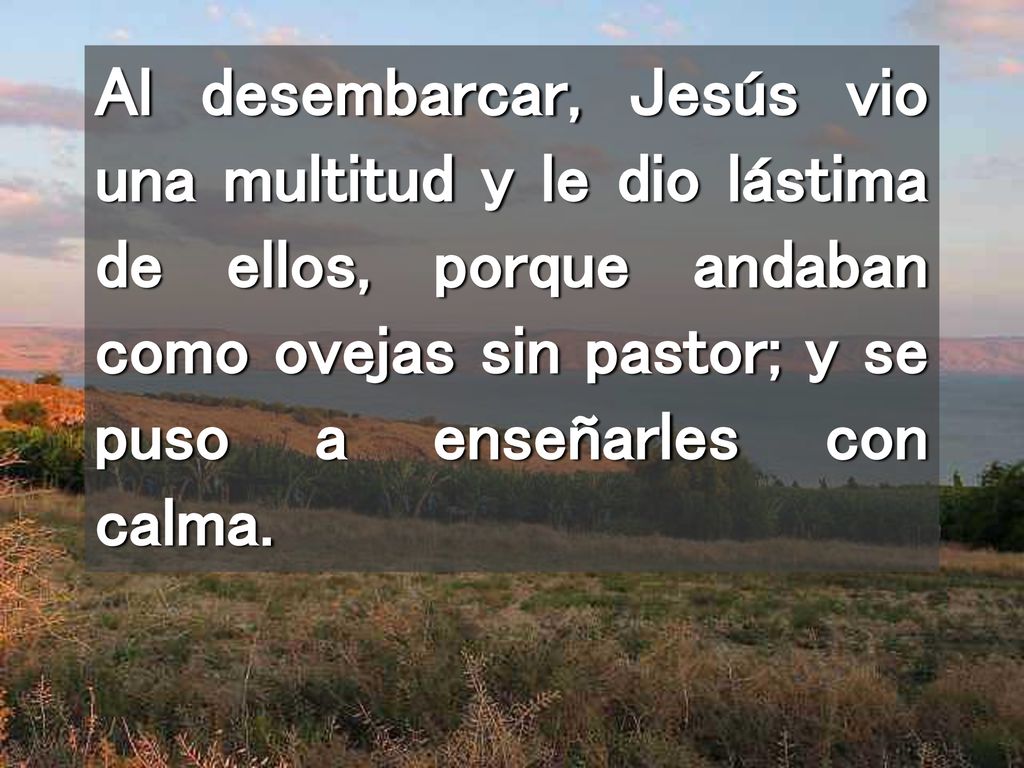Al desembarcar, Jesús vio una multitud y le dio lástima de ellos, porque andaban como ovejas sin pastor; y se puso a enseñarles con calma.