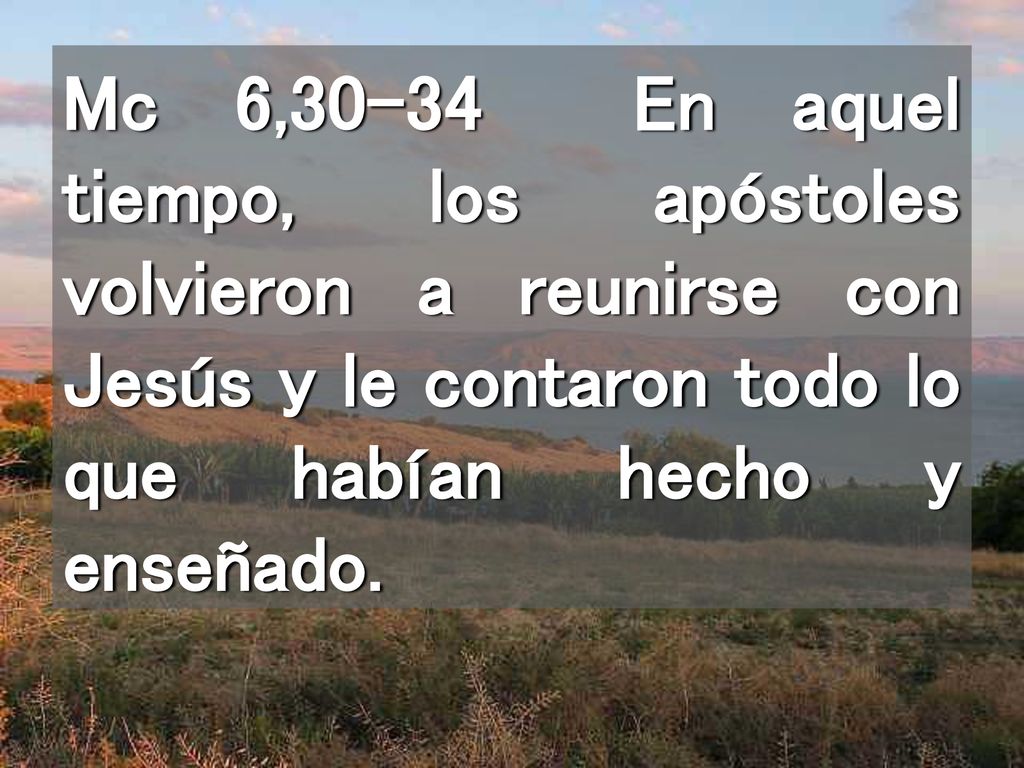 Mc 6,30-34 En aquel tiempo, los apóstoles volvieron a reunirse con Jesús y le contaron todo lo que habían hecho y enseñado.