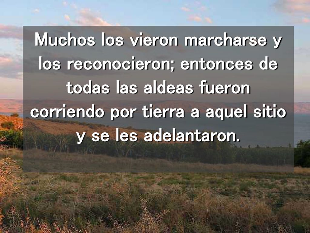Muchos los vieron marcharse y los reconocieron; entonces de todas las aldeas fueron corriendo por tierra a aquel sitio y se les adelantaron.