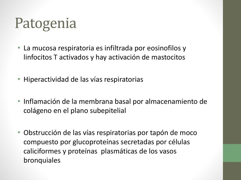 Patogenia La mucosa respiratoria es infiltrada por eosinofilos y linfocitos T activados y hay activación de mastocitos.