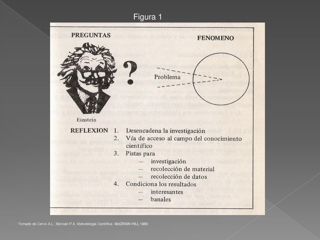 Figura 1 Tomado de Cervo A.L.; Bervian P.A. Metodologia Científica. McGRAW-HILL 1980