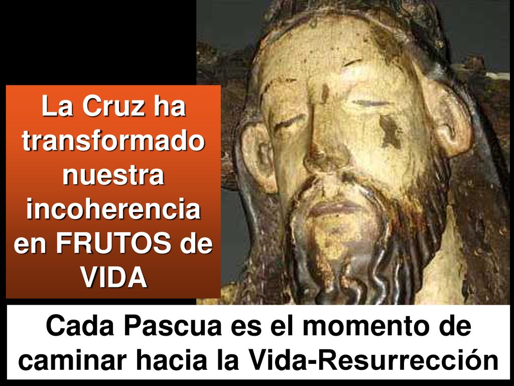 La Cruz ha transformado nuestra incoherencia en FRUTOS de VIDA