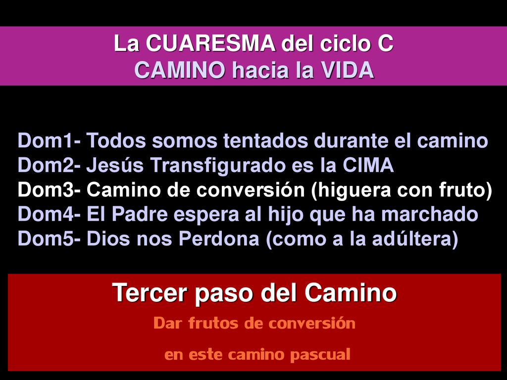 Tercer paso del Camino Dar frutos de conversión en este camino pascual