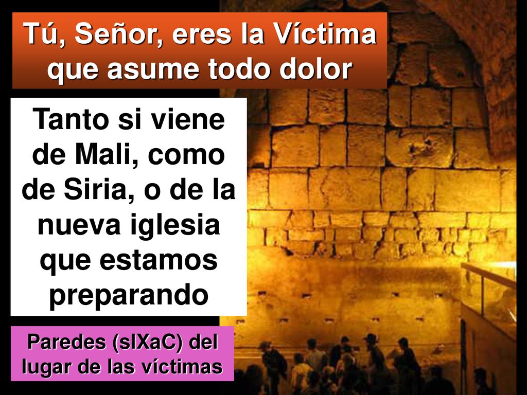 Tú, Señor, eres la Víctima que asume todo dolor