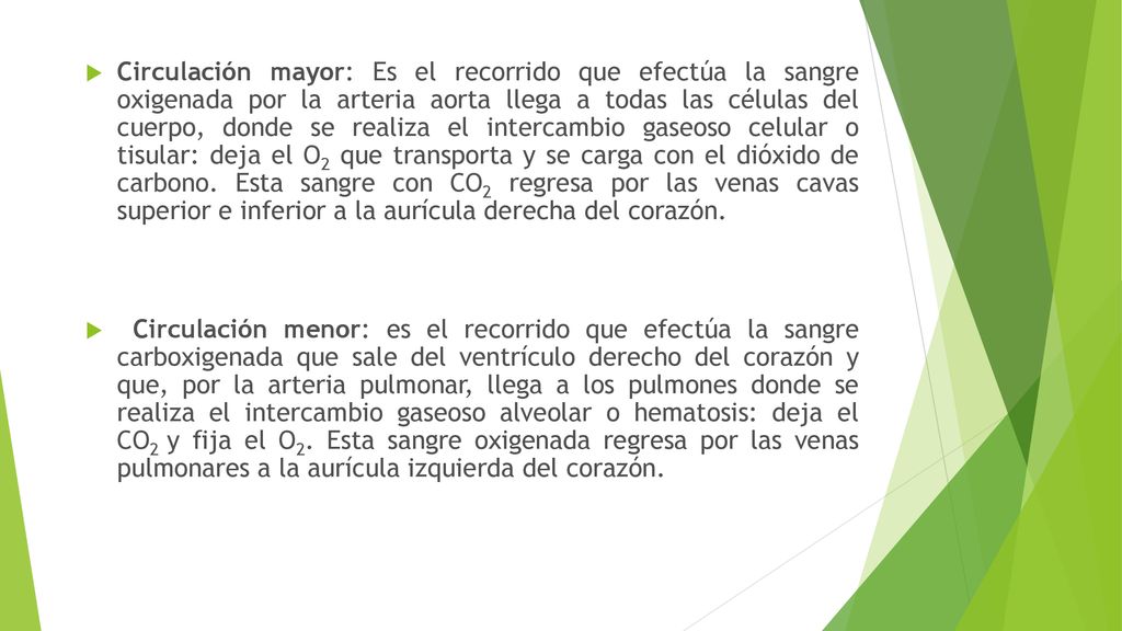Circulación mayor: Es el recorrido que efectúa la sangre oxigenada por la arteria aorta llega a todas las células del cuerpo, donde se realiza el intercambio gaseoso celular o tisular: deja el O2 que transporta y se carga con el dióxido de carbono. Esta sangre con CO2 regresa por las venas cavas superior e inferior a la aurícula derecha del corazón.
