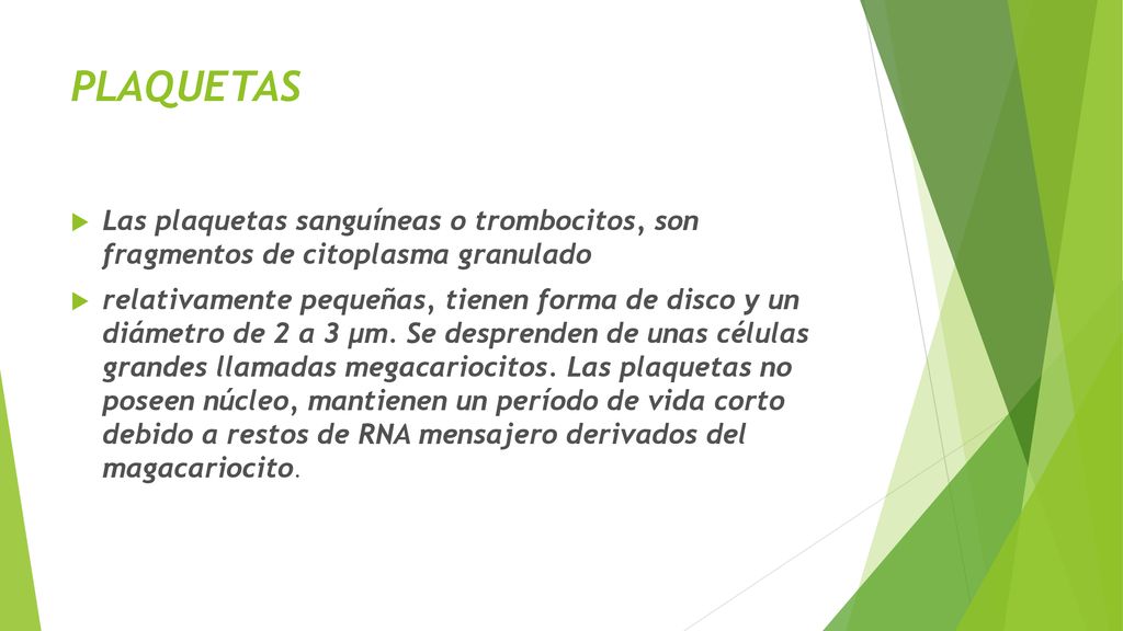 PLAQUETAS Las plaquetas sanguíneas o trombocitos, son fragmentos de citoplasma granulado.