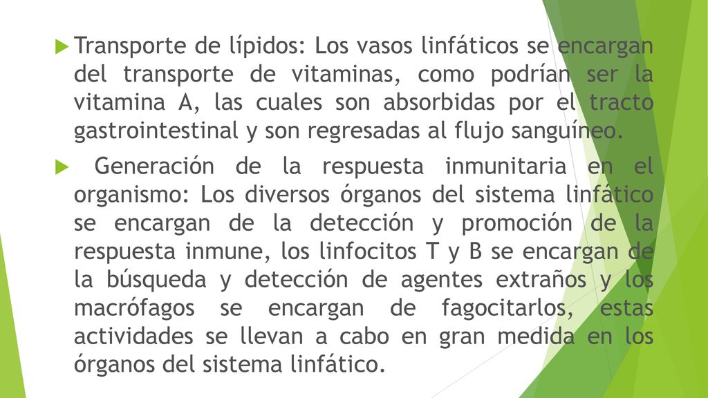 Transporte de lípidos: Los vasos linfáticos se encargan del transporte de vitaminas, como podrían ser la vitamina A, las cuales son absorbidas por el tracto gastrointestinal y son regresadas al flujo sanguíneo.