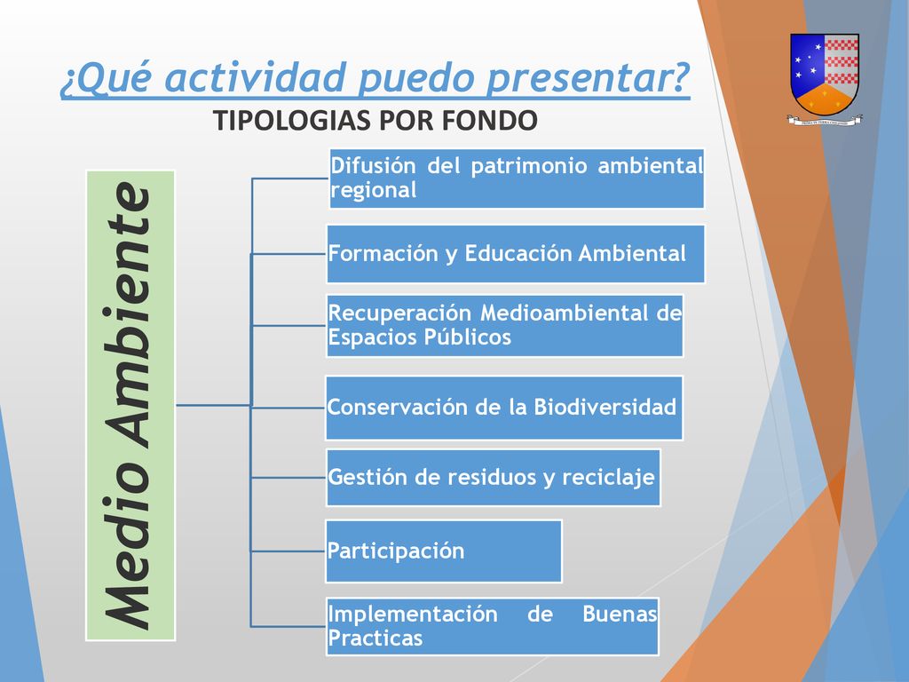 ¿Qué actividad puedo presentar TIPOLOGIAS POR FONDO