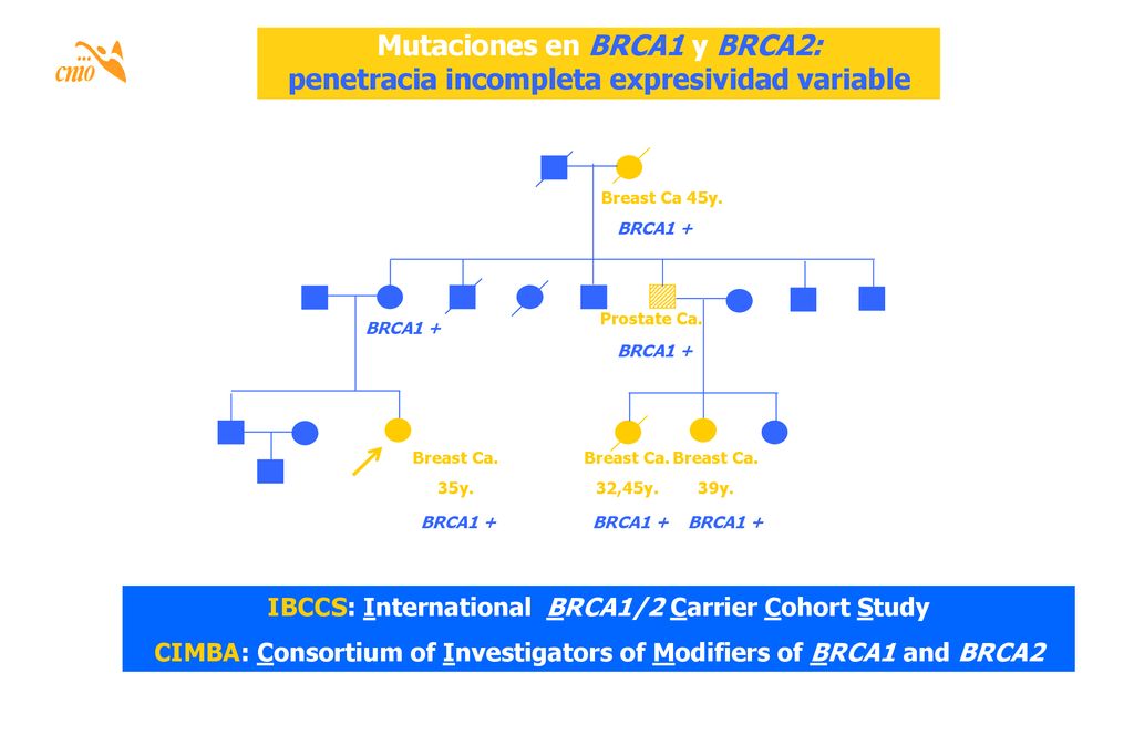 Introducción Mutaciones en BRCA1 y BRCA2: penetracia incompleta expresividad variable. Breast Ca 45y.