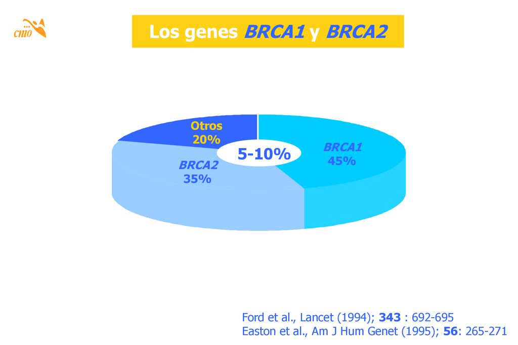 Los genes BRCA1 y BRCA2 5-10% Otros 20% BRCA1 45% BRCA2 35%