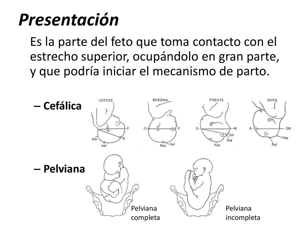 Presentación Es la parte del feto que toma contacto con el estrecho superior, ocupándolo en gran parte, y que podría iniciar el mecanismo de parto.