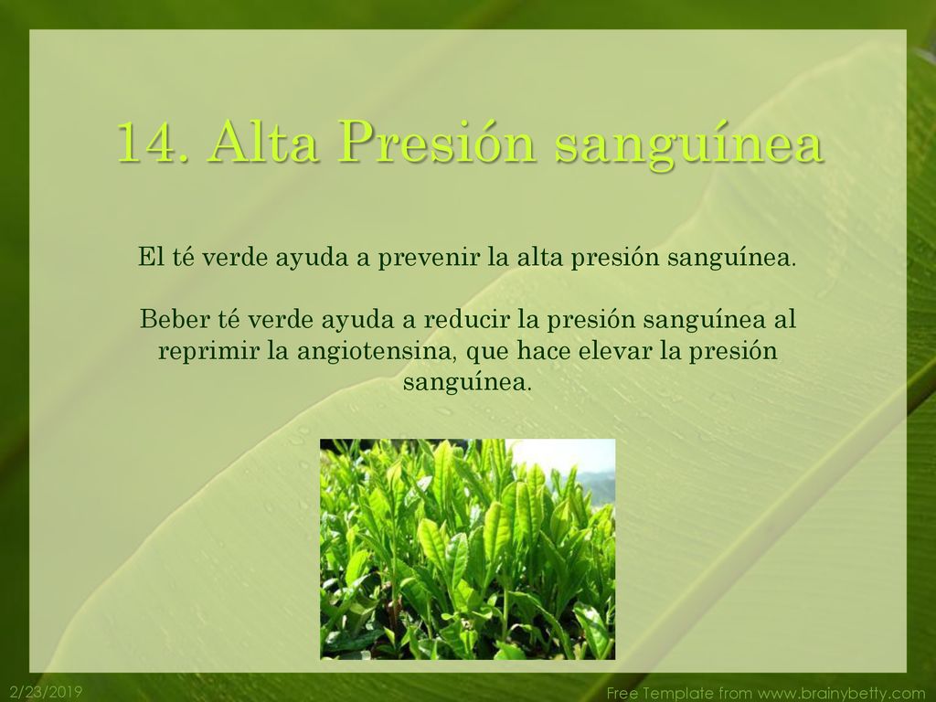 14. Alta Presión sanguínea