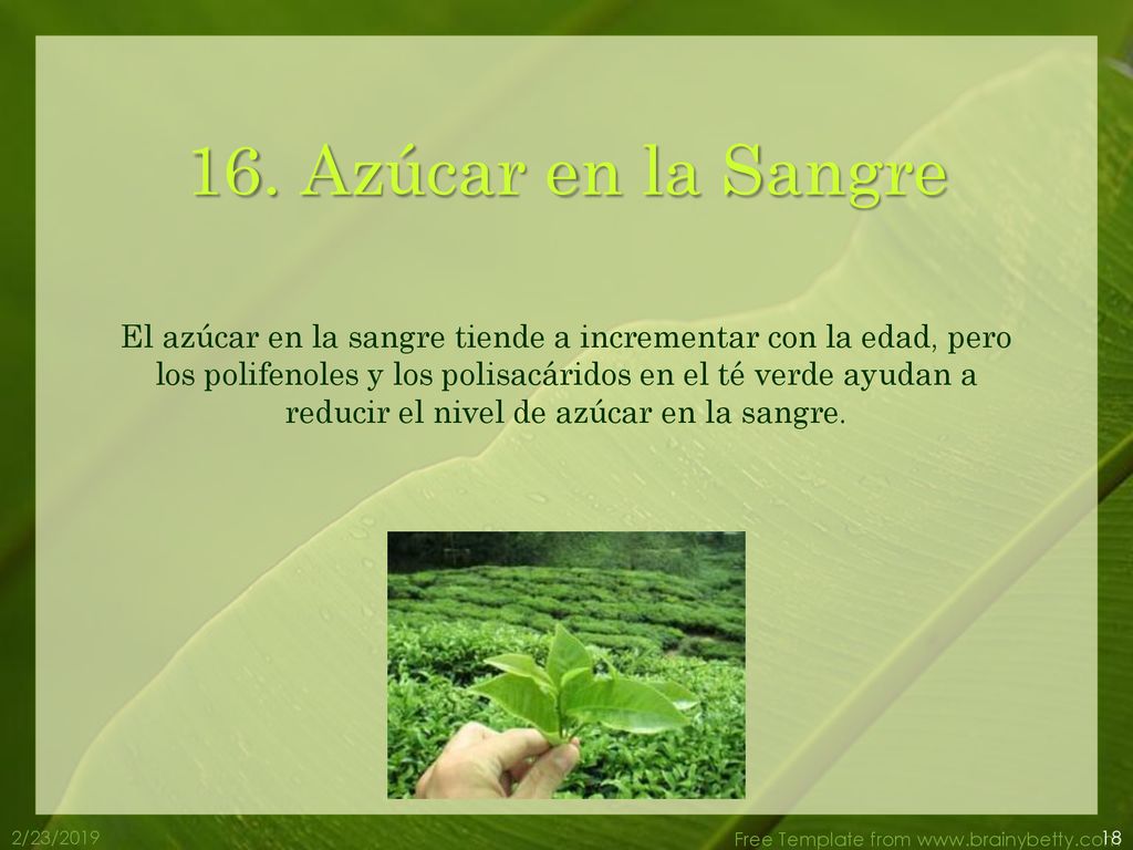 16. Azúcar en la Sangre