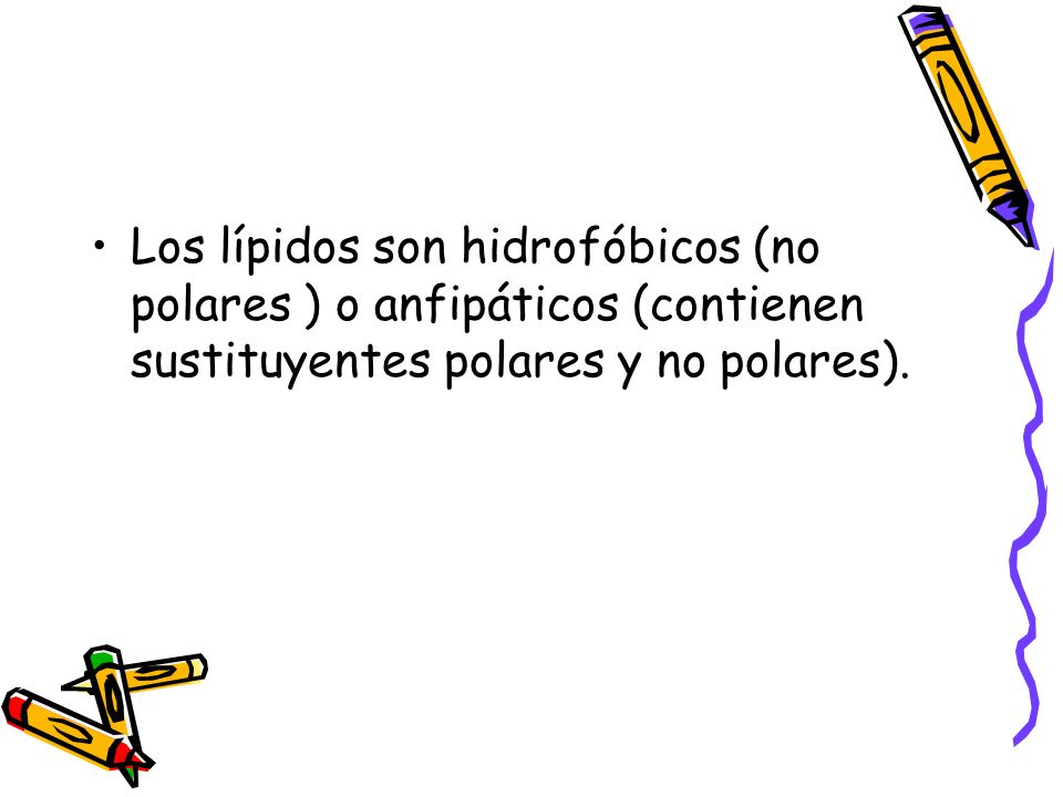 Los lípidos son hidrofóbicos (no polares ) o anfipáticos (contienen sustituyentes polares y no polares).