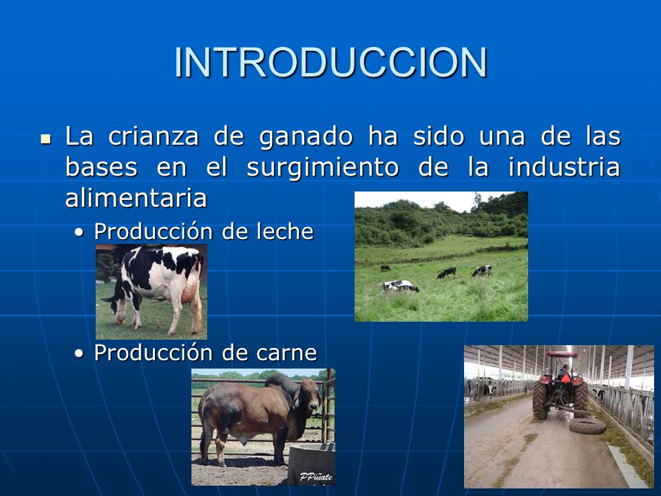 INTRODUCCION La crianza de ganado ha sido una de las bases en el surgimiento de la industria alimentaria.