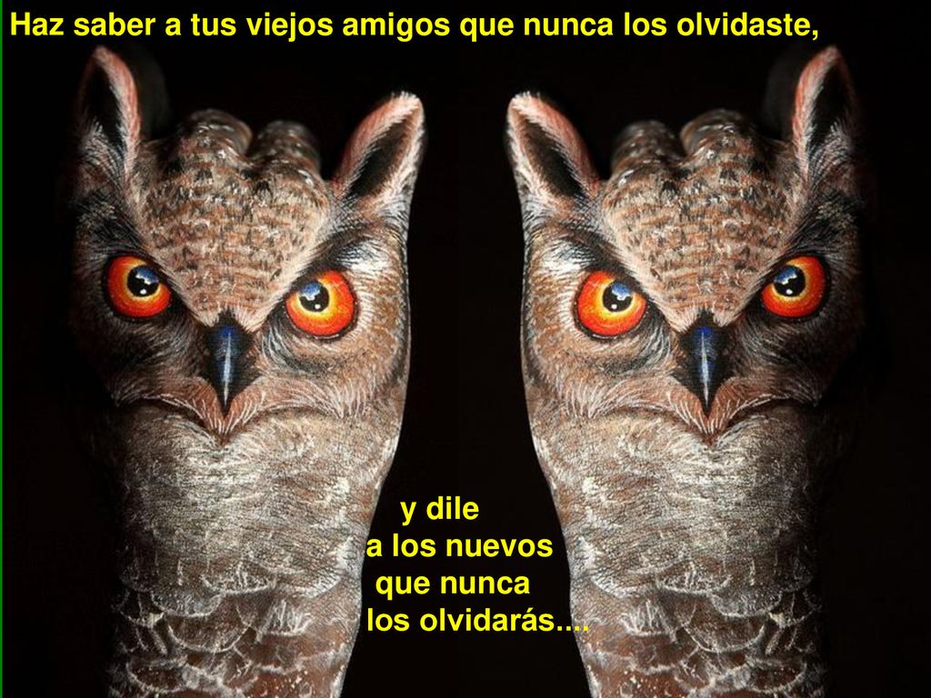 Haz saber a tus viejos amigos que nunca los olvidaste,
