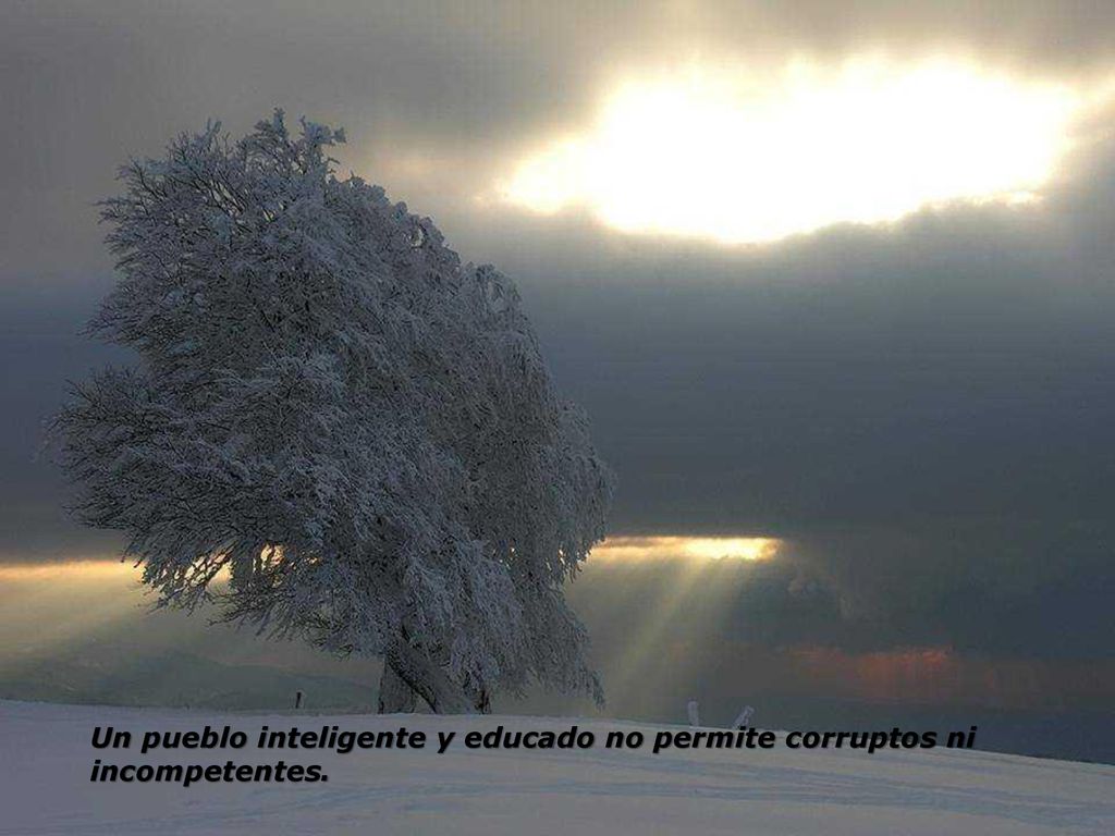 Un pueblo inteligente y educado no permite corruptos ni incompetentes.