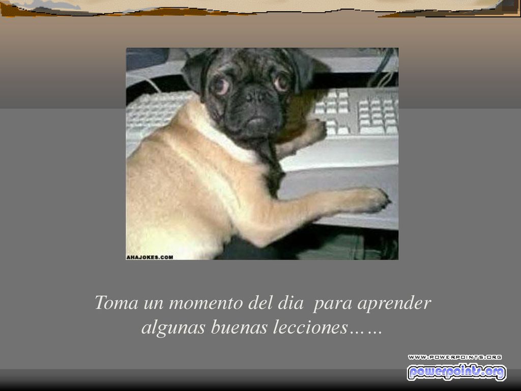 Toma un momento del dia para aprender algunas buenas lecciones……