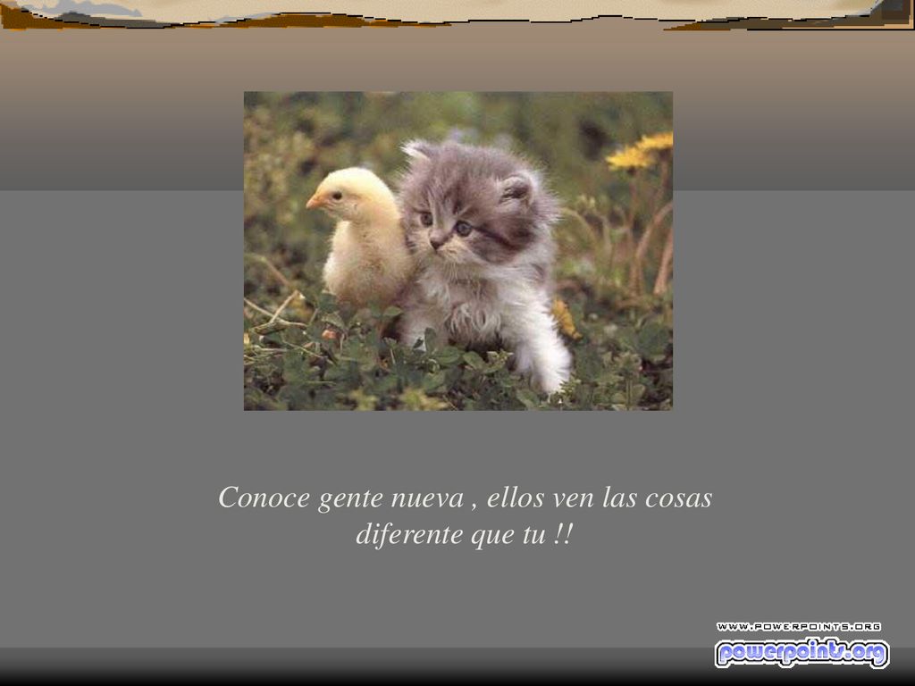 Conoce gente nueva , ellos ven las cosas diferente que tu !!