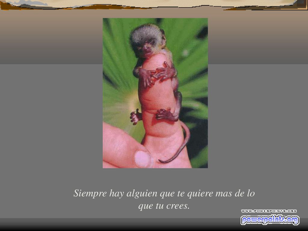 Siempre hay alguien que te quiere mas de lo que tu crees.
