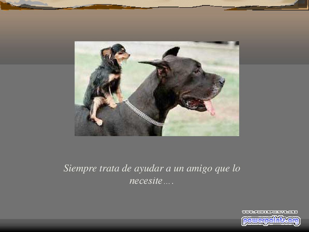 Siempre trata de ayudar a un amigo que lo necesite….