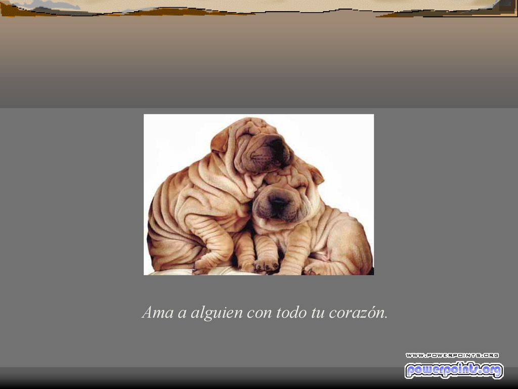 Ama a alguien con todo tu corazón.