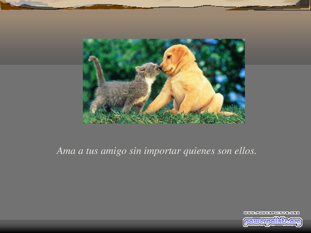 Ama a tus amigo sin importar quienes son ellos.
