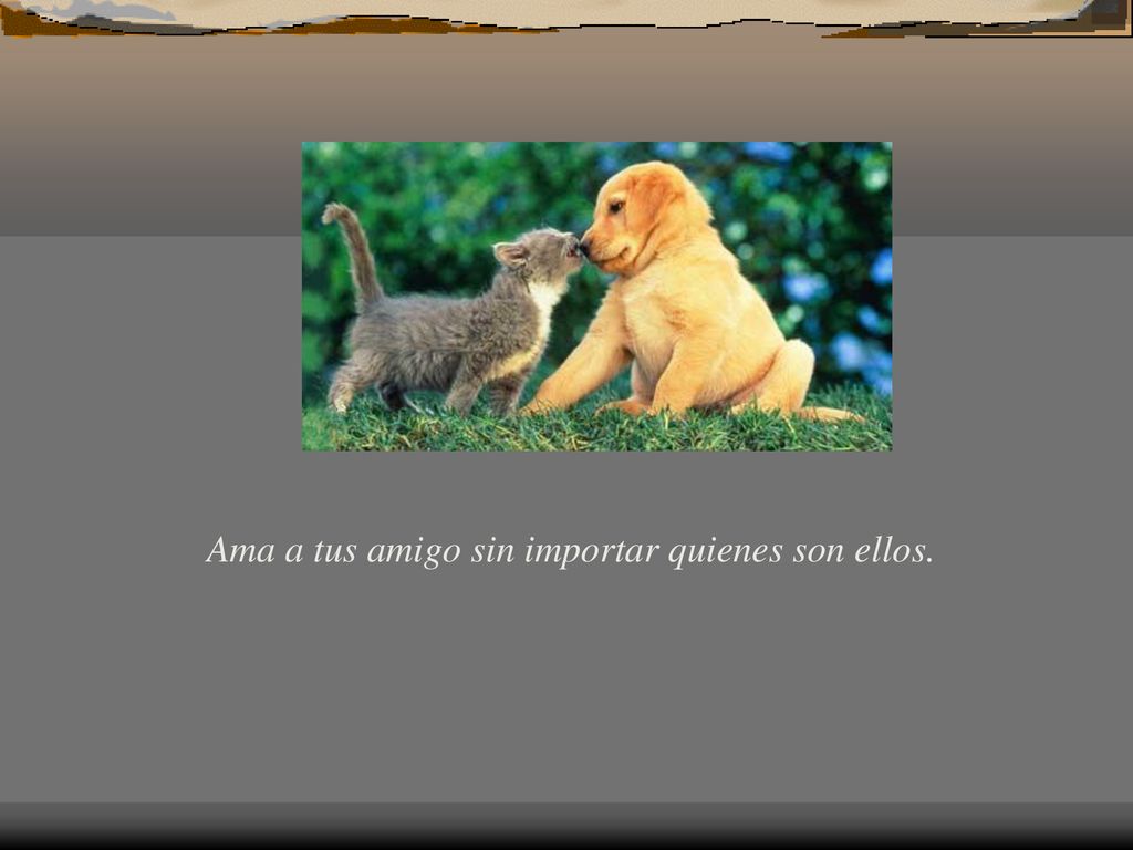 Ama a tus amigo sin importar quienes son ellos.