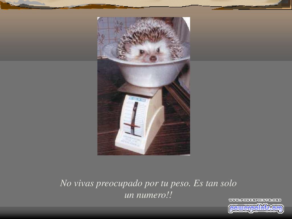 No vivas preocupado por tu peso. Es tan solo un numero!!