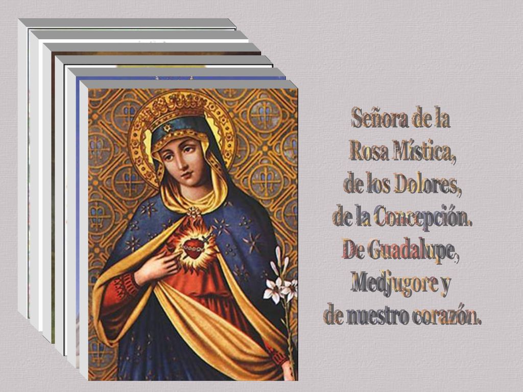 Señora de la Rosa Mística, de los Dolores, de la Concepción.