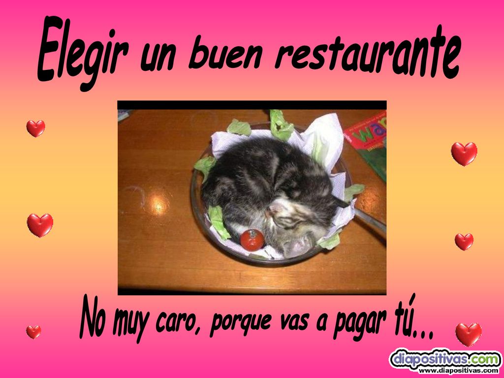 Elegir un buen restaurante No muy caro, porque vas a pagar tú...
