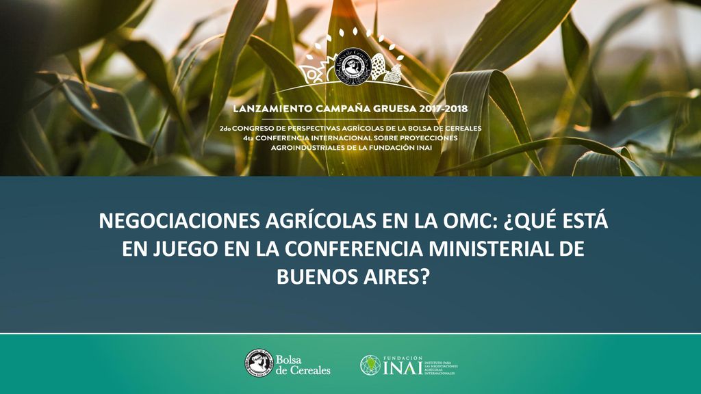Negociaciones agrícolas en la OMC: ¿qué está en juego en la Conferencia Ministerial de Buenos Aires