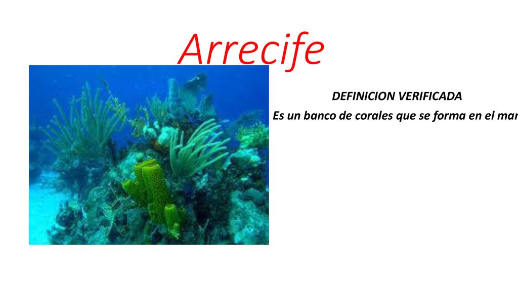 DEFINICION VERIFICADA Es un banco de corales que se forma en el mar.