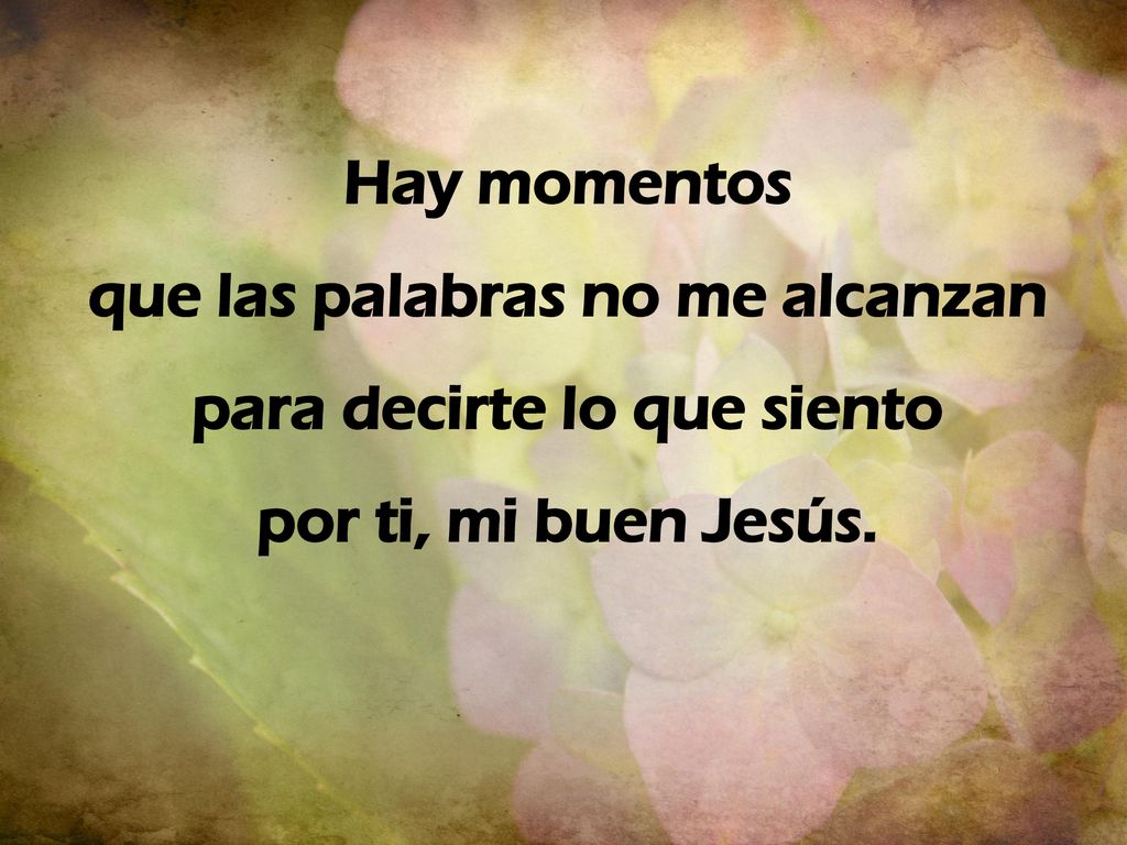 que las palabras no me alcanzan para decirte lo que siento